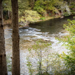 cabin rentals on toccoa river