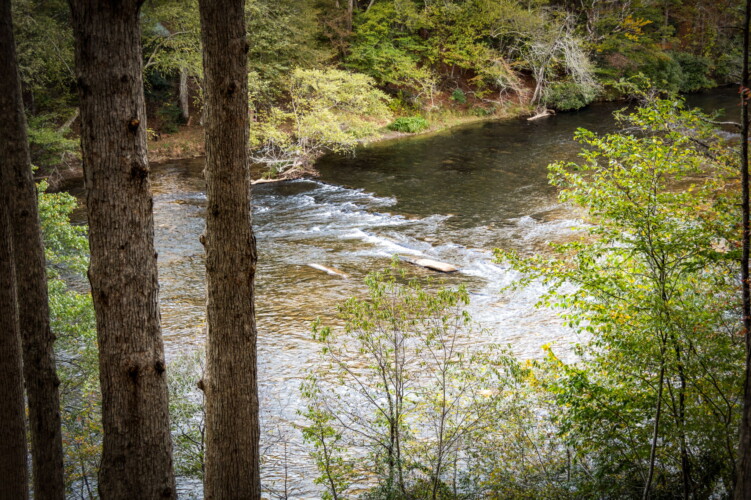 cabin rentals on toccoa river