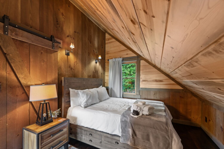 cabin rentals on toccoa river