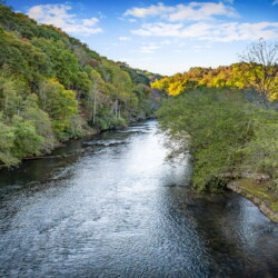 cabin rentals on toccoa river