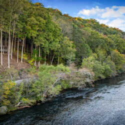 cabin rentals on toccoa river