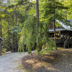 blue ridge mountains georgia cabin rentals