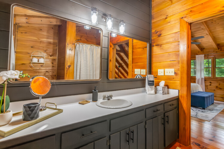 blue ridge mountains georgia cabin rentals