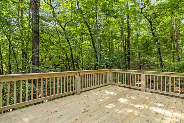 blue ridge mountains georgia cabin rentals