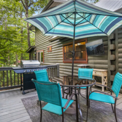 blue ridge mountains georgia cabin rentals