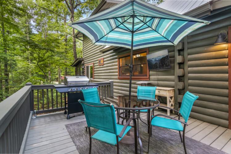 blue ridge mountains georgia cabin rentals