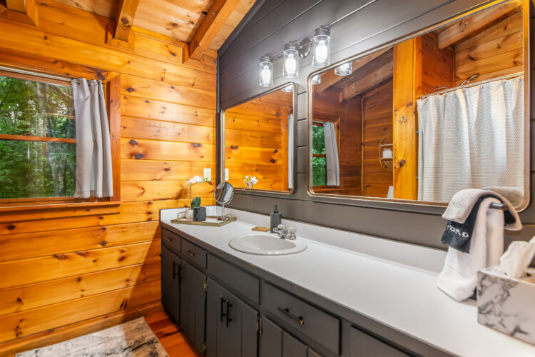 blue ridge mountains georgia cabin rentals