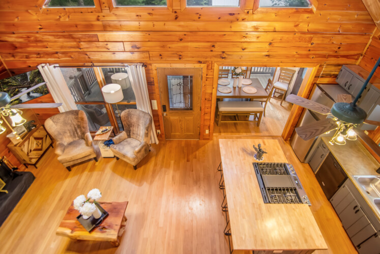 blue ridge mountains georgia cabin rentals