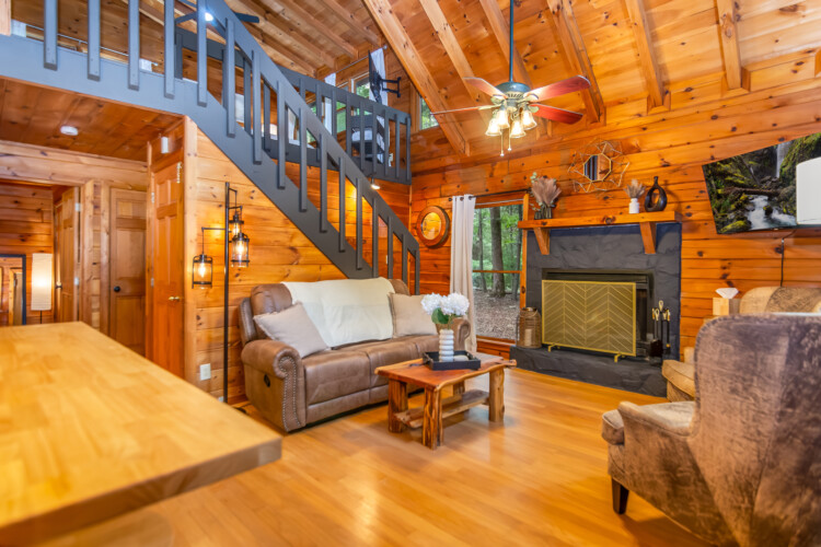 blue ridge mountains georgia cabin rentals