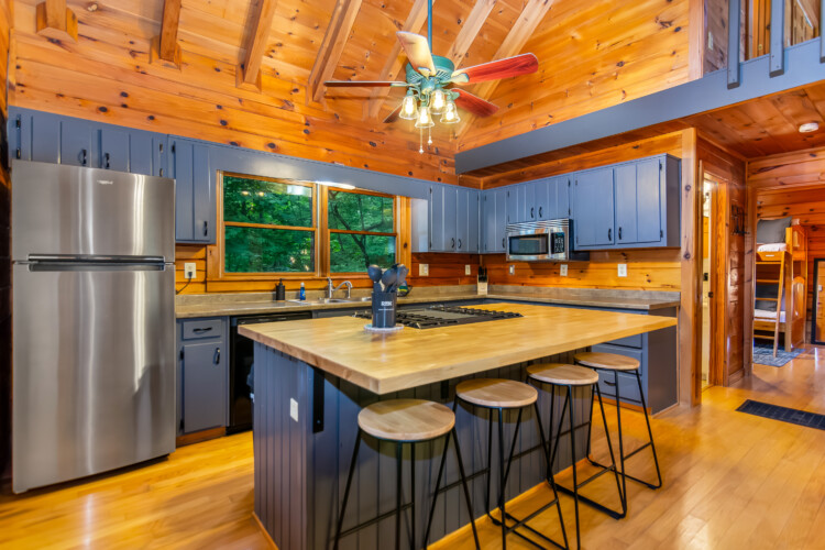 blue ridge mountains georgia cabin rentals