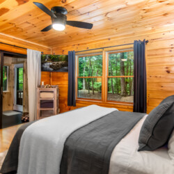 blue ridge mountains georgia cabin rentals
