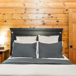 blue ridge mountains georgia cabin rentals