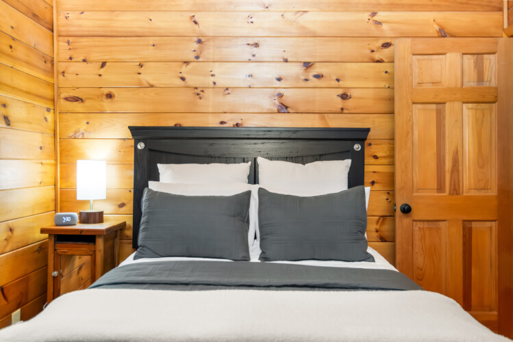 blue ridge mountains georgia cabin rentals