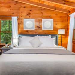 blue ridge mountains georgia cabin rentals