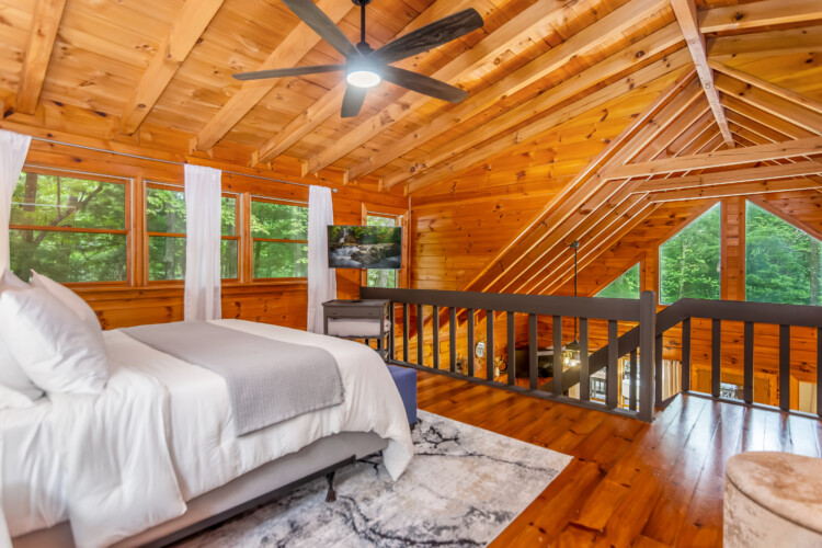 blue ridge mountains georgia cabin rentals