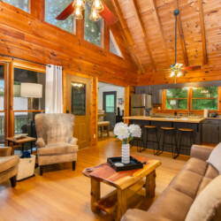 blue ridge mountains georgia cabin rentals