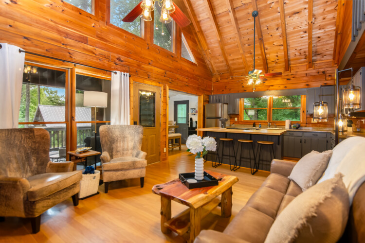 blue ridge mountains georgia cabin rentals