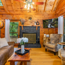 blue ridge mountains georgia cabin rentals