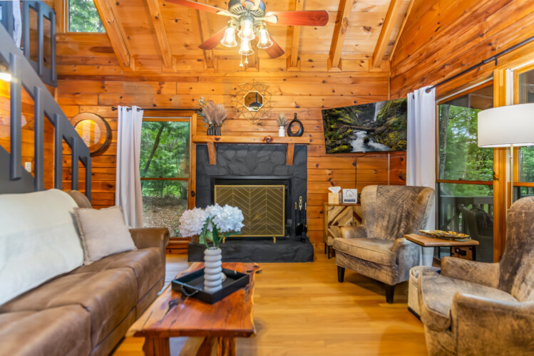 blue ridge mountains georgia cabin rentals