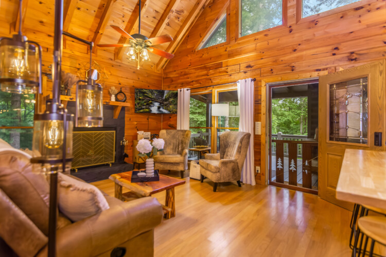 blue ridge mountains georgia cabin rentals