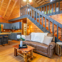 blue ridge mountains georgia cabin rentals