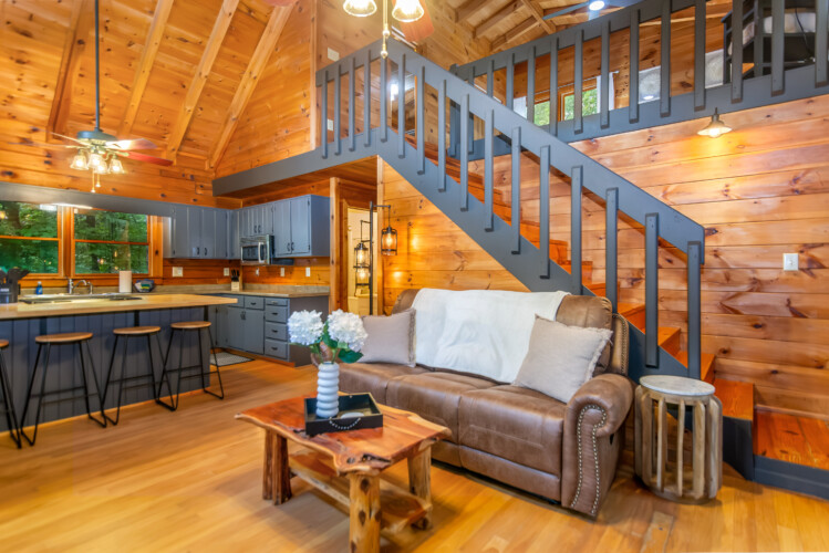 blue ridge mountains georgia cabin rentals