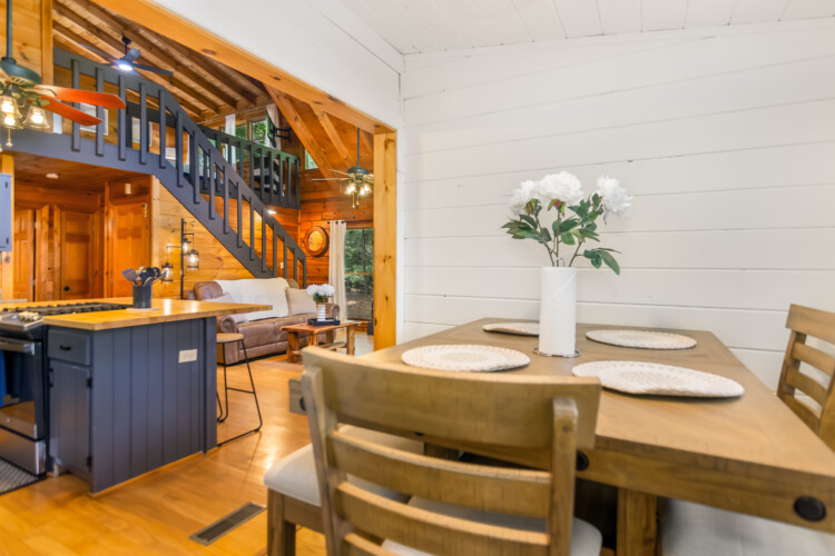 blue ridge mountains georgia cabin rentals