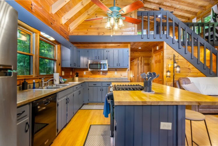 blue ridge mountains georgia cabin rentals