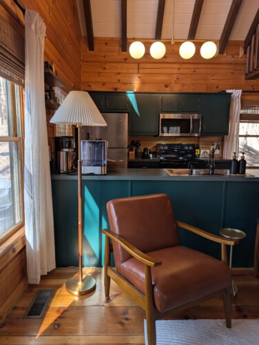 lakefront cabin rentals north georgia