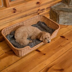 lakefront cabin rentals north georgia