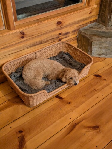 lakefront cabin rentals north georgia