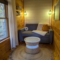 lakefront cabin rentals north georgia