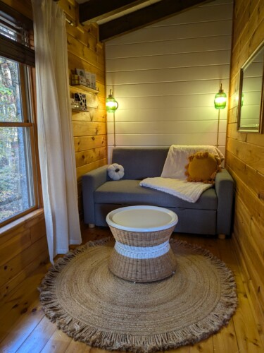 lakefront cabin rentals north georgia