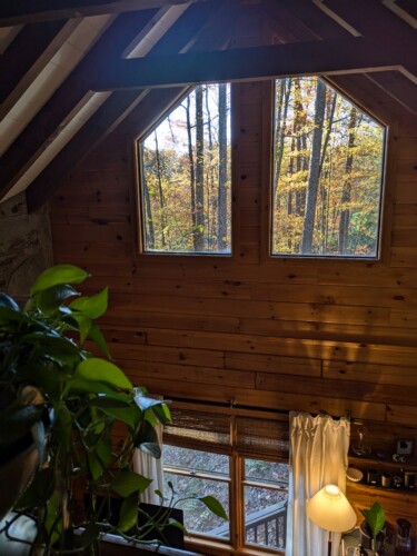 lakefront cabin rentals north georgia