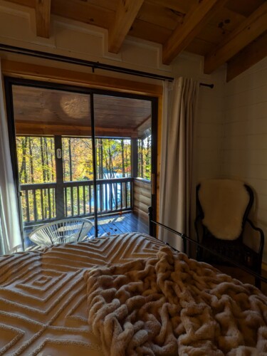 lakefront cabin rentals north georgia