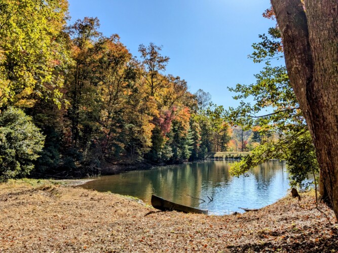 lakefront cabin rentals north georgia
