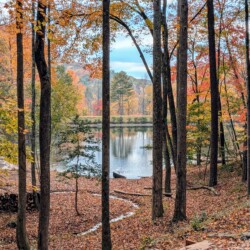 lakefront cabin rentals north georgia