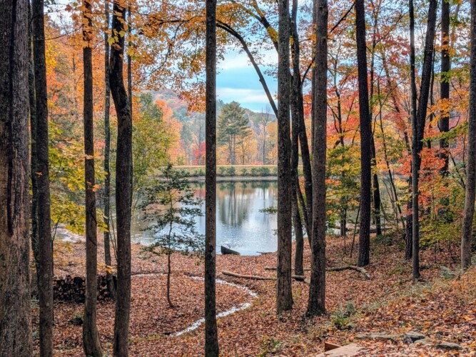 lakefront cabin rentals north georgia