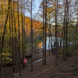 lakefront cabin rentals north georgia