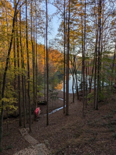 lakefront cabin rentals north georgia