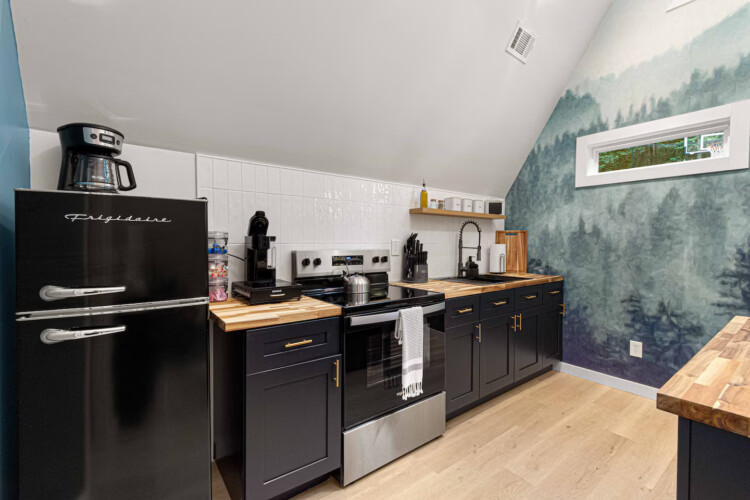 blue ridge ga a-frame cabin with private pickleball court and sauna