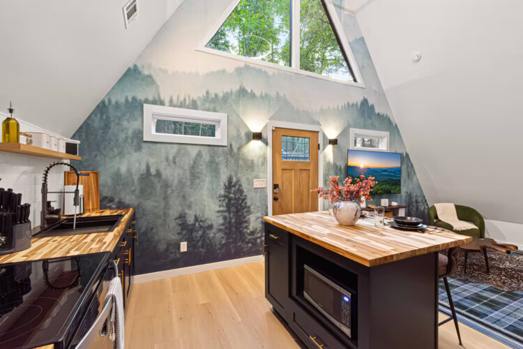 blue ridge ga a-frame cabin with private pickleball court and sauna