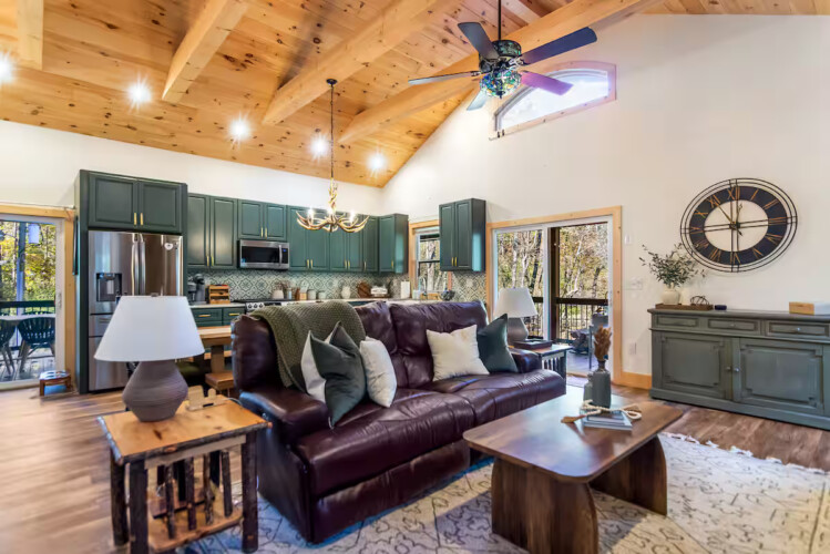 cabins in ellijay ga on river