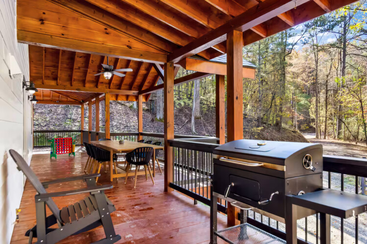 cabins in ellijay ga on river