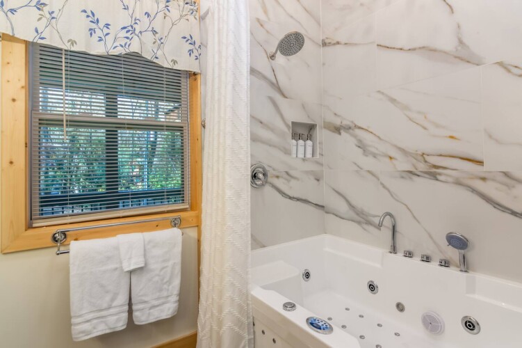 cabins in ellijay ga on river