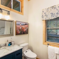 cabins in ellijay ga on river