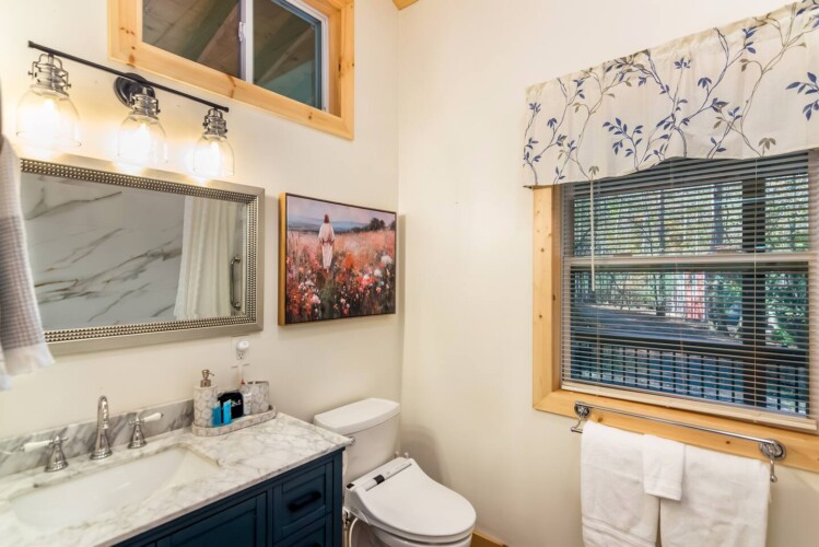 cabins in ellijay ga on river