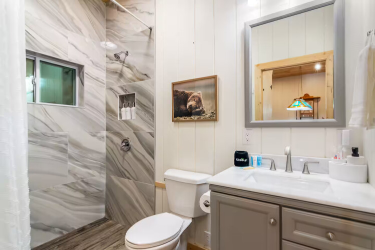 cabins in ellijay ga on river