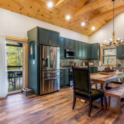 cabins in ellijay ga on river