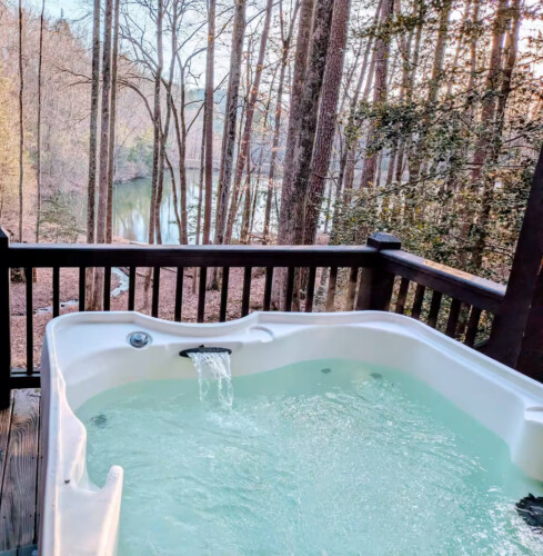 lakefront cabin rentals north georgia